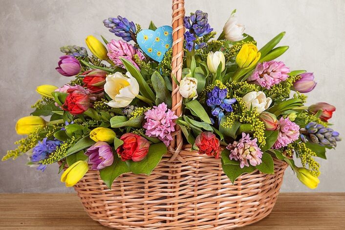 Изображение без названия