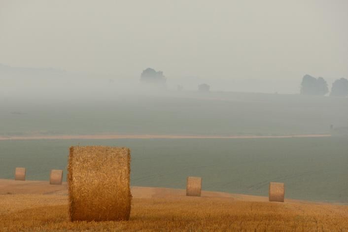 Изображение без названия